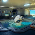 Subnautica 2 - PC (Steam) - Imagen 3